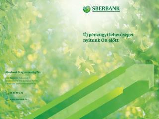 A Sberbank Magyarország Zrt . a magyar bankpiacon