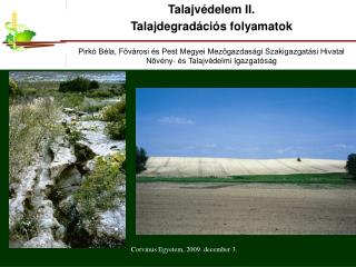 Tematika
