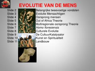 EVOLUTIE VAN DE MENS