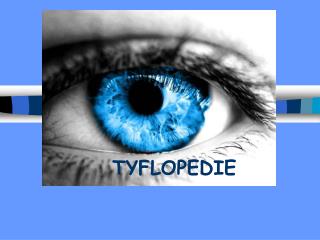 TYFLOPEDIE