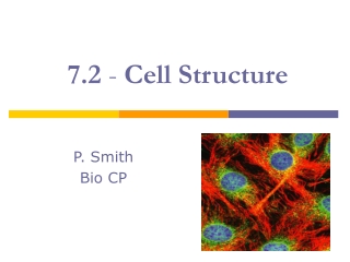 7.2 - Cell Structure