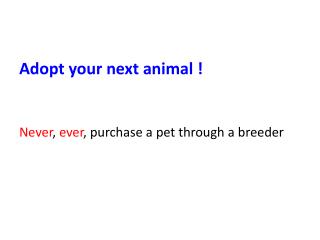 Adopt your next animal ! Never , ever , purchase a pet through a breeder