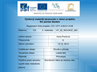 Zrakové ústrojí - zrak je nejdůležitějším smyslem pro orientaci v prostoru - orgánem zraku je oko