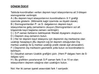 DÖNEM ÖDEVİ