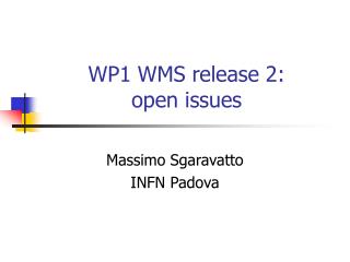 WP1 WMS release 2: open issues