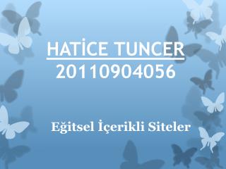 HATİCE TUNCER 20110904056