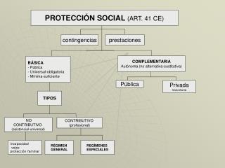 PROTECCIÓN SOCIAL (ART. 41 CE)