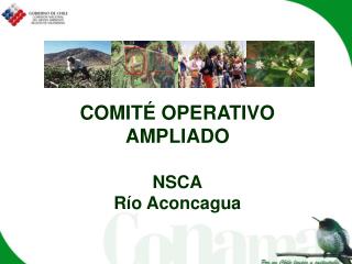 COMITÉ OPERATIVO AMPLIADO NSCA Río Aconcagua