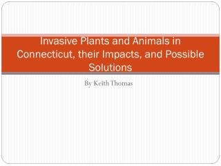 Invasive Plants and Animals in Connecticut, their Impacts, and Possible Solutions