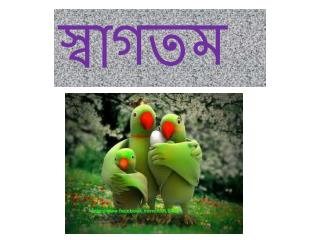 স্বাগতম