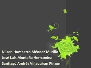 Nilson Humberto Méndez Murillo José Luis Montaña Hernández Santiago Andrés Villaquiran Pinzón