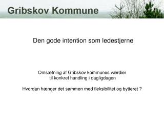 Den gode intention som ledestjerne