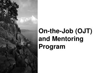 On-the-Job (OJT) and Mentoring Program
