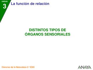 UNIDAD 3