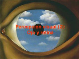 Percepción visual (2): Ojo y retina