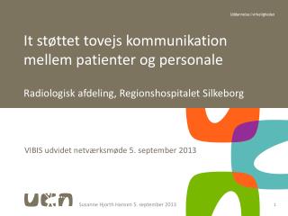 VIBIS udvidet netværksmøde 5. september 2013
