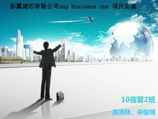 彩翼滤芯有限公司 sap business one 项目实施