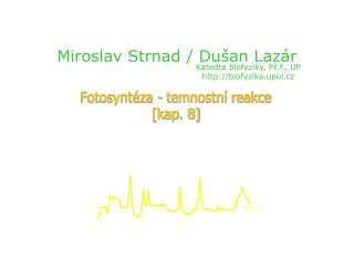 Miroslav Strnad / Dušan Lazár