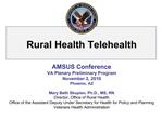 AMSUS Conference VA Plenary Preliminary Program November 2, 2010 Phoenix, AZ Mary Beth Skupien, Ph.D., MS, RN Director