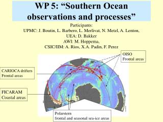 WP 5: “Southern Ocean observations and processes”