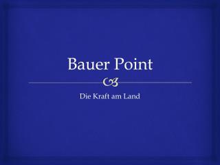 Bauer Point