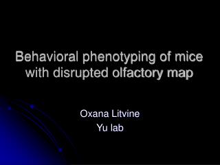 Behavioral phenotyping of mice with disrupted olfactory map