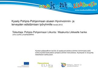 Kysely Pohjois-Pohjanmaan alueen Hyvinvoinnin- ja terveyden edistämisen työryhmille kevät 2012