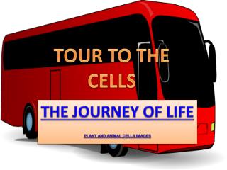 THE JOURNEY OF LIFE PLANT AND ANIMAL CELLS IMAGES