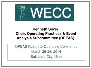 Kenneth Silver Chair, Operating Practices &amp; Event Analysis Subcommittee (OPEAS)