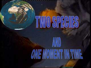 TWO SPECIES