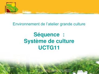 Environnement de l’atelier grande culture Séquence : Système de culture UCTG11