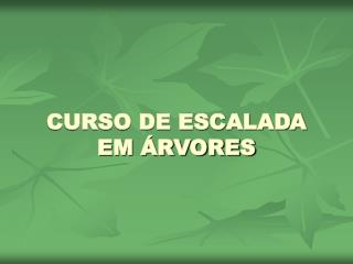 CURSO DE ESCALADA EM ÁRVORES