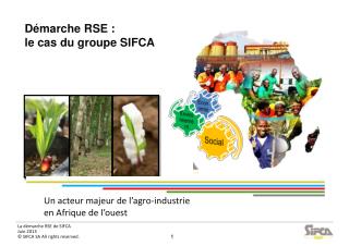 Un acteur majeur de l’agro-industrie en Afrique de l’ouest