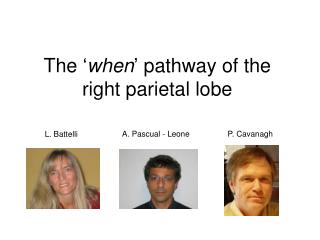The ‘ when ’ pathway of the right parietal lobe