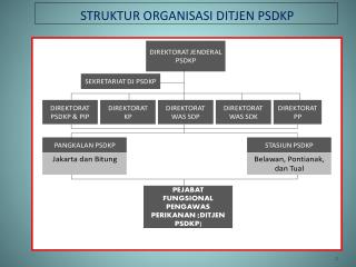 STRUKTUR ORGANISASI DITJEN PSDKP