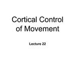 Cortical Control of Movement