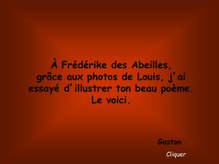 À Frédérike des Abeilles, grâce aux photos de Louis, j ’ ai essayé d ’ illustrer ton beau poème.