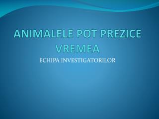 ANIMALELE POT PREZICE VREMEA