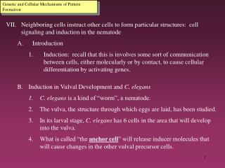 Genetic and Cellular Mechanisms of Pattern Formation