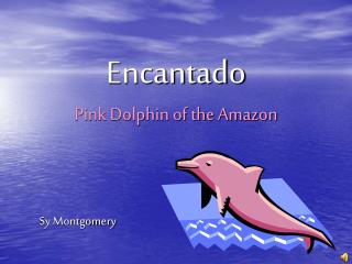 Encantado Pink Dolphin of the Amazon