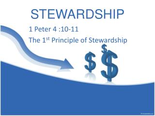 STEWARDSHIP