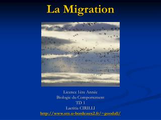 La Migration