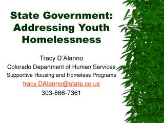 State Government: Addressing Youth Homelessness