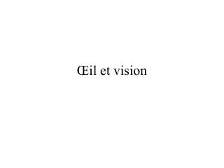 Œil et vision