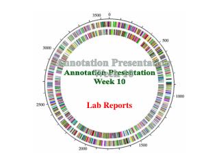 Annotation Presentation Week 10