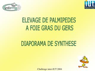 ELEVAGE DE PALMIPEDES A FOIE GRAS DU GERS DIAPORAMA DE SYNTHESE