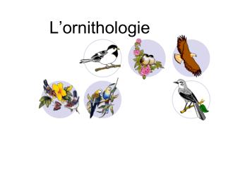 L’ornithologie