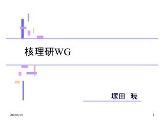 核理研 WG