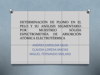 ANDREA CAROLINA SILVA CLAUDIA LORENA MACIAS MIGUEL FERNANDO MOLANO