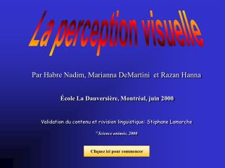 La perception visuelle